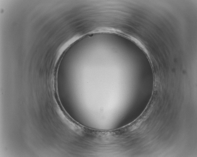 X0000063481003200601231342