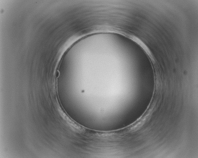 X0000063481004200601231342