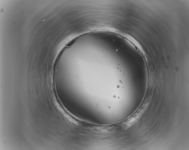 X0000063481005200601231342