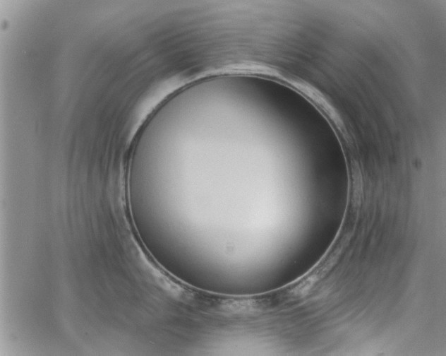 X0000063481006200601231342