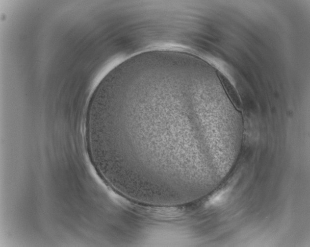 X0000063481007200601231342