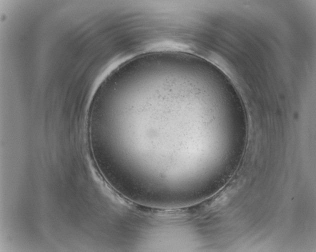 X0000063481008200601231342