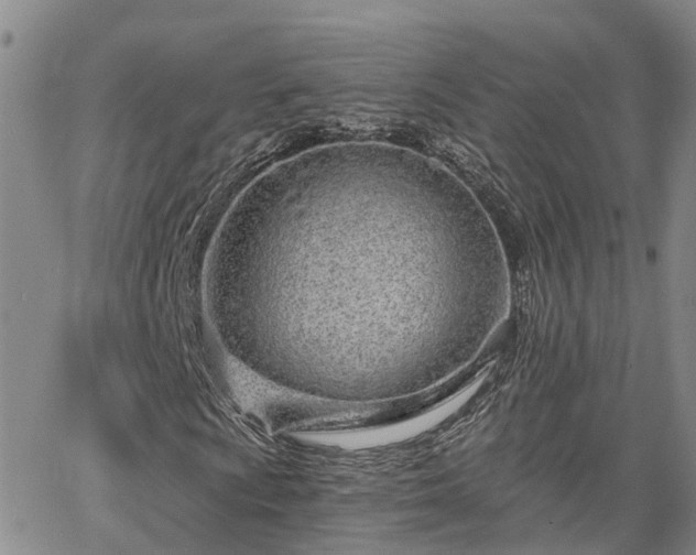 X0000063481009200601231341