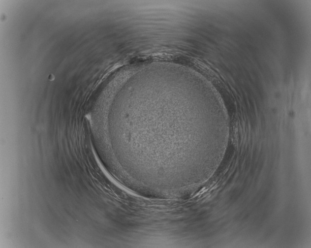 X0000063481010200601231341