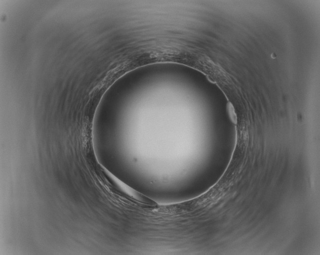 X0000063481012200601231341