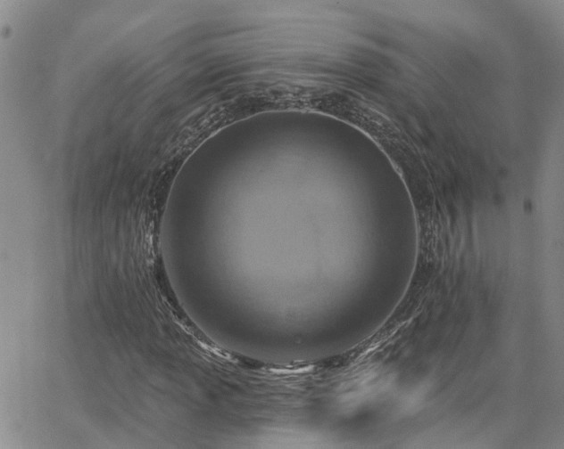 X0000063481013200601231341