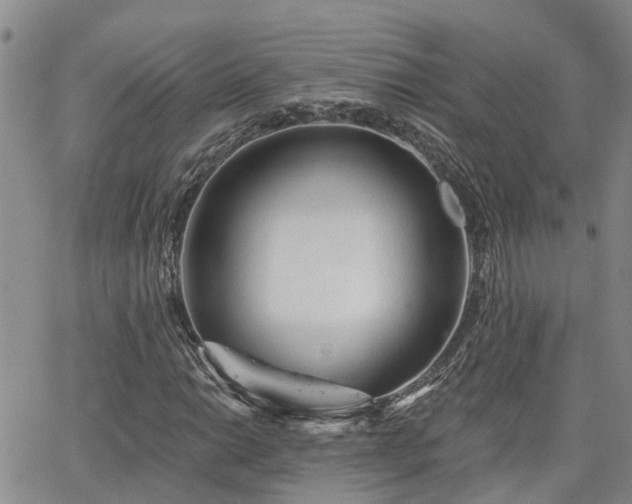 X0000063481014200601231341