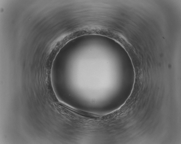 X0000063481016200601231341