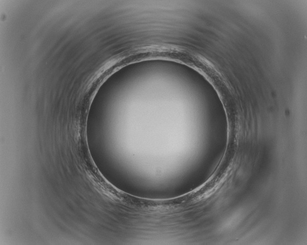 X0000063481017200601231341