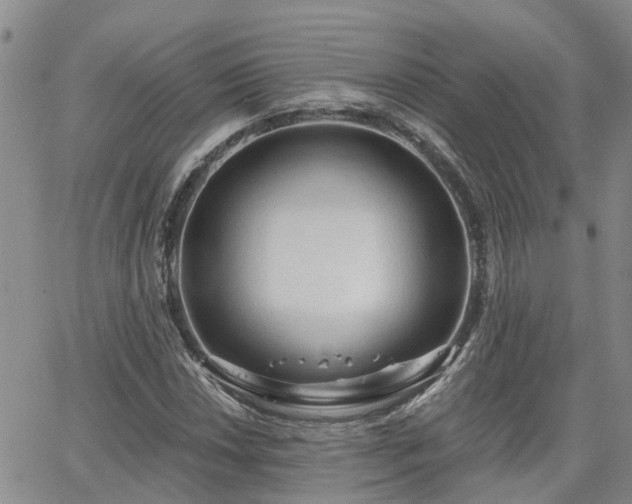 X0000063481018200601231341