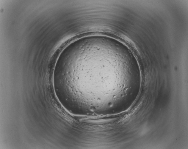 X0000063481019200601231341