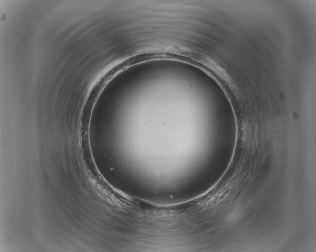 X0000063481020200601231341