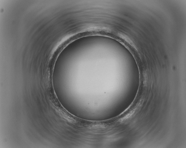 X0000063481021200601231341