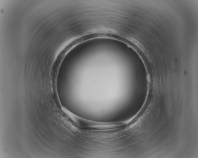 X0000063481022200601231341