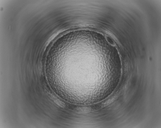 X0000063481023200601231341