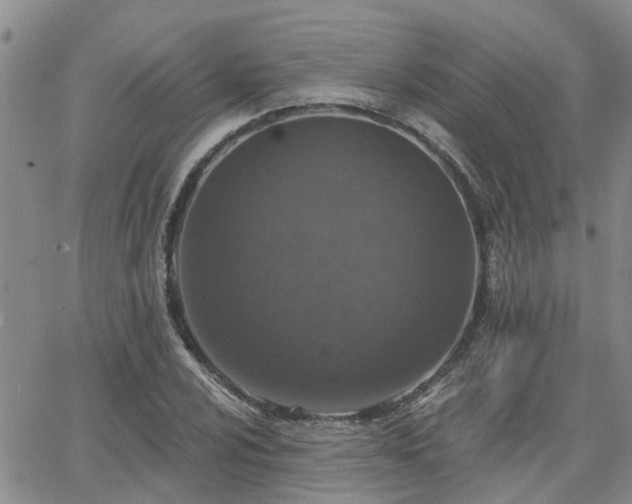 X0000063481024200601231341