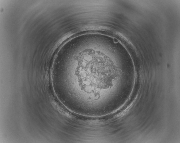 X0000063481025200601231341