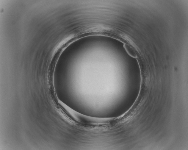 X0000063481026200601231341