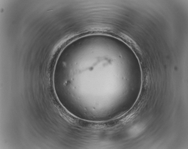 X0000063481027200601231341