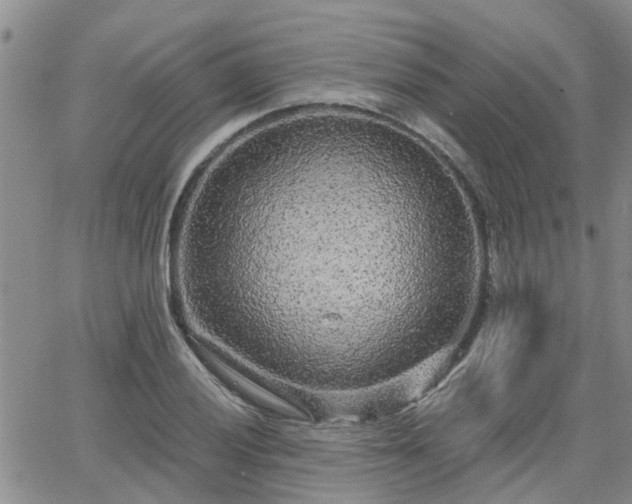 X0000063481028200601231341