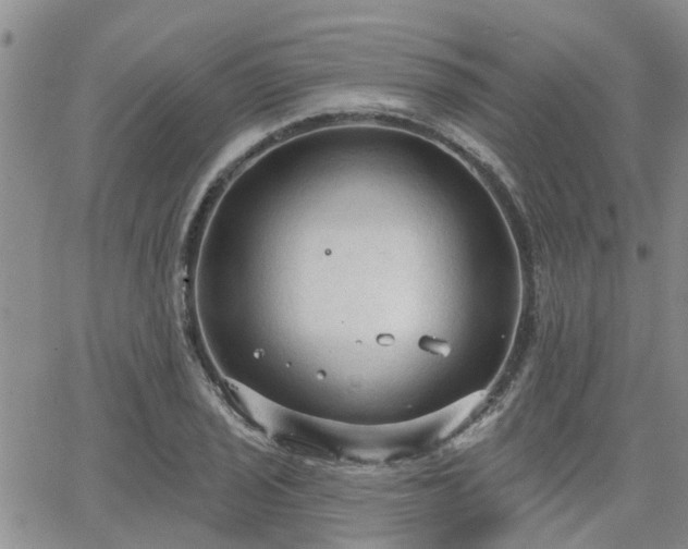 X0000063481029200601231341