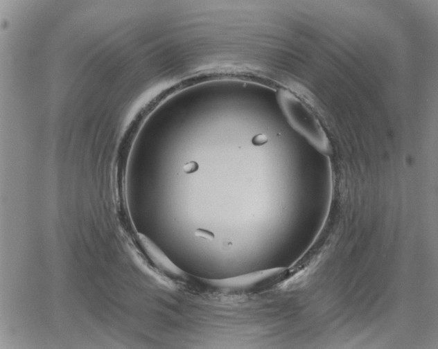 X0000063481030200601231342