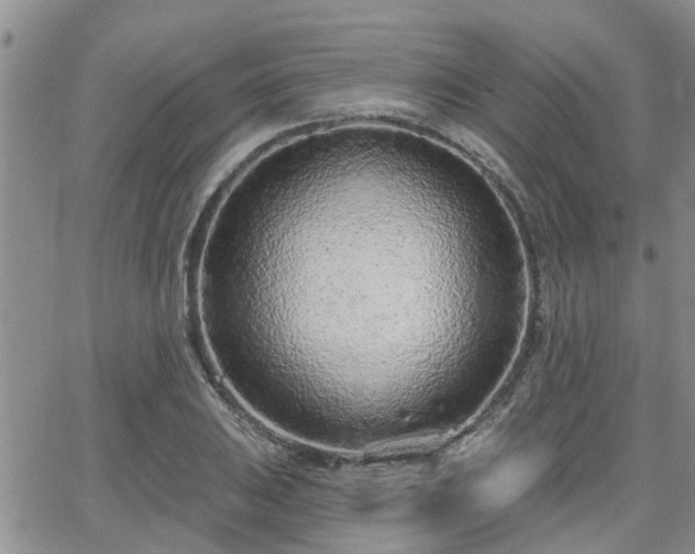 X0000063481031200601231342