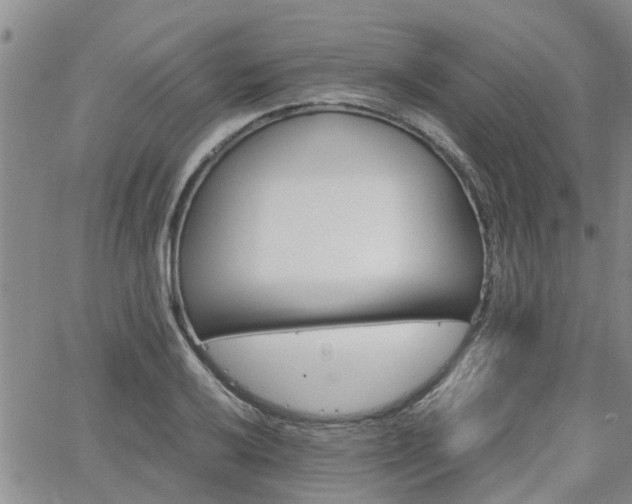 X0000063481032200601231342