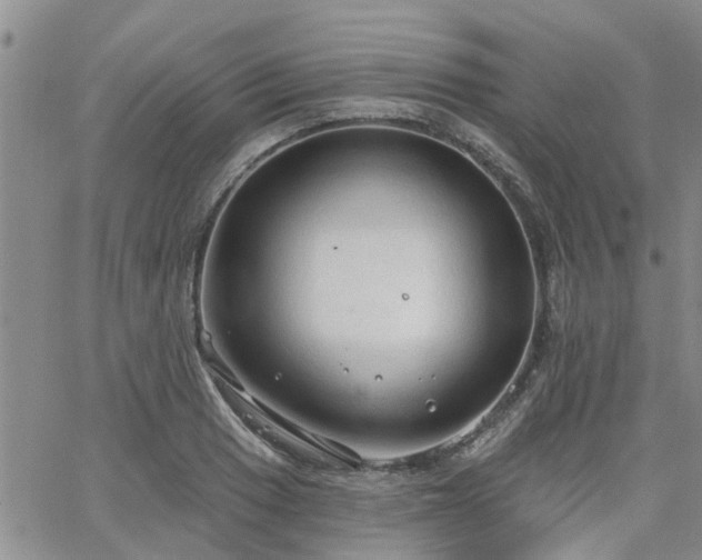 X0000063481033200601231342