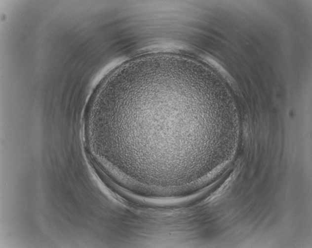 X0000063481034200601231342