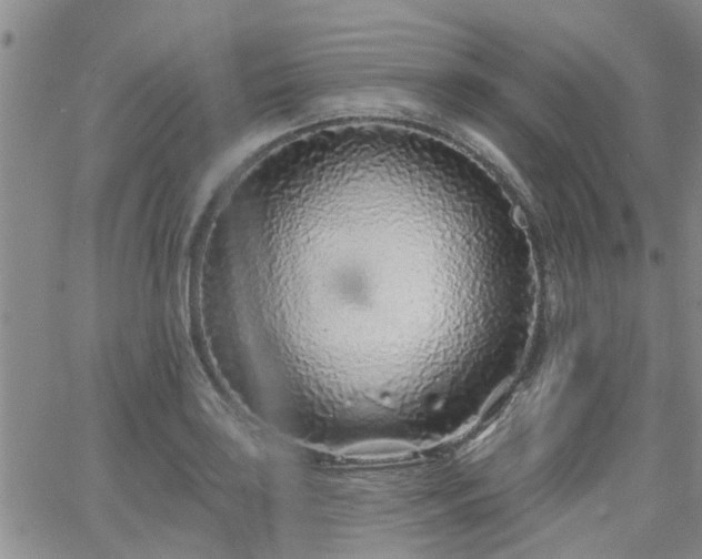 X0000063481035200601231342