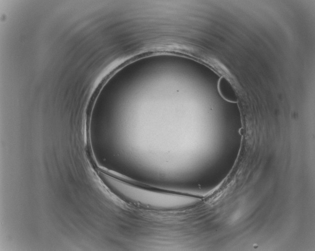 X0000063481036200601231342