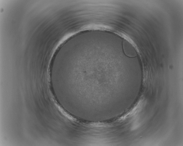 X0000063481037200601231342