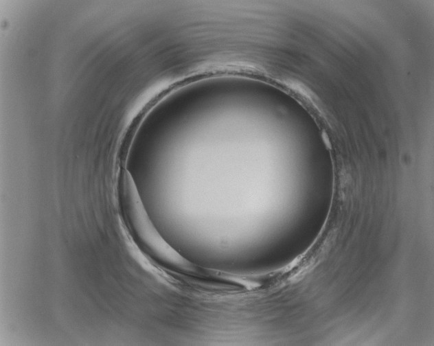 X0000063481038200601231342