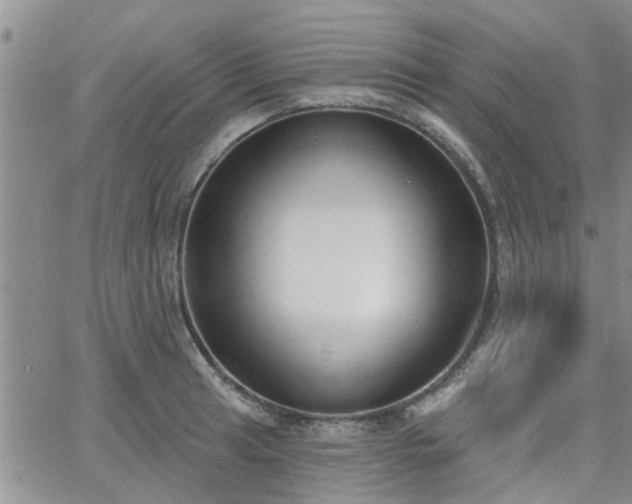 X0000063481041200601231342