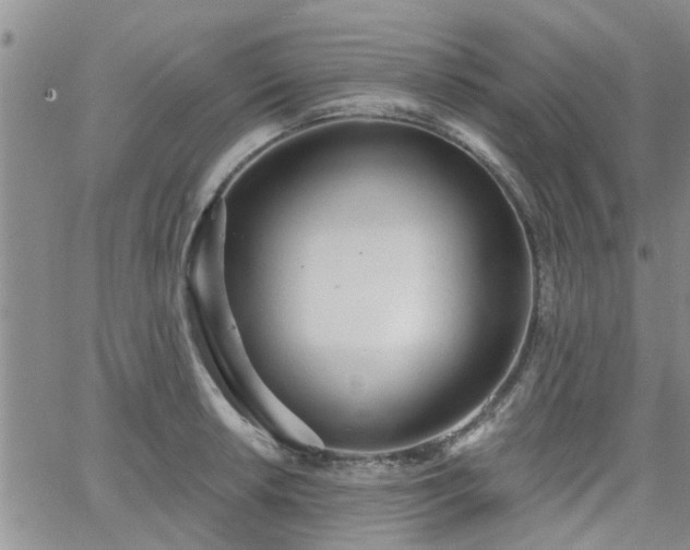 X0000063481042200601231342