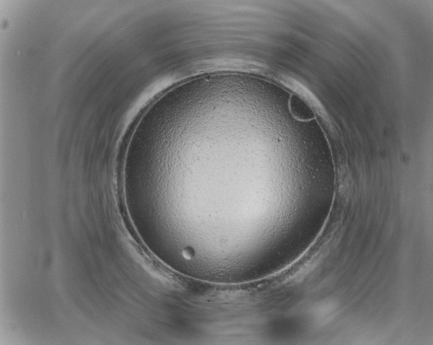 X0000063481043200601231342