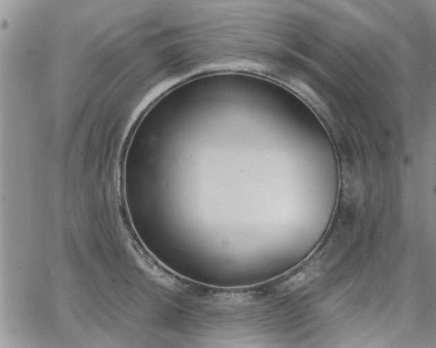 X0000063481044200601231342