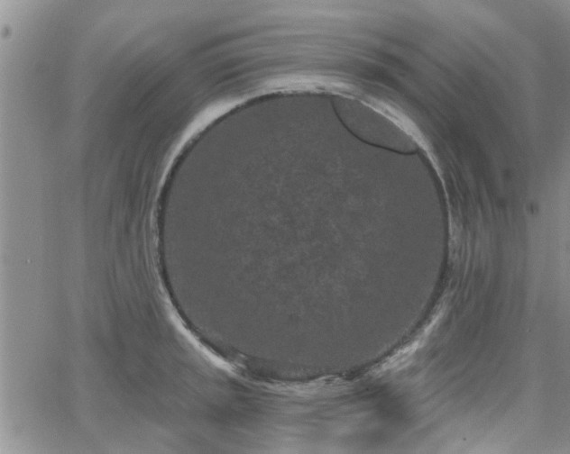 X0000063481045200601231342