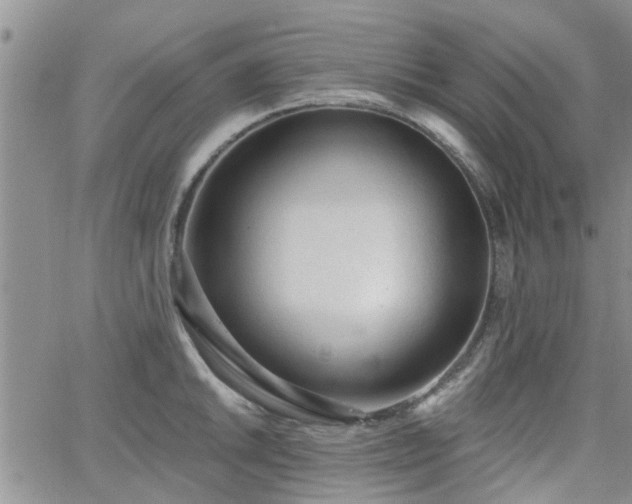 X0000063481046200601231342