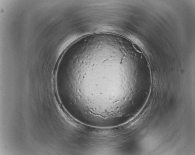 X0000063481047200601231342