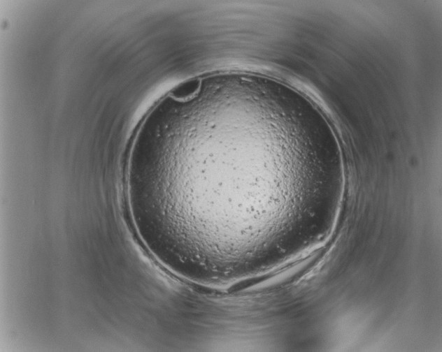 X0000063481048200601231342