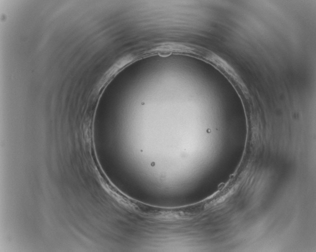 X0000063481049200601231342