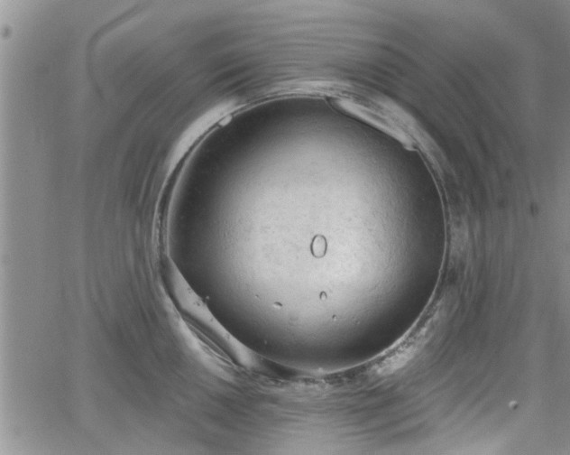 X0000063481050200601231342