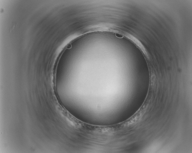 X0000063481051200601231342