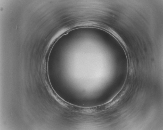 X0000063481053200601231342