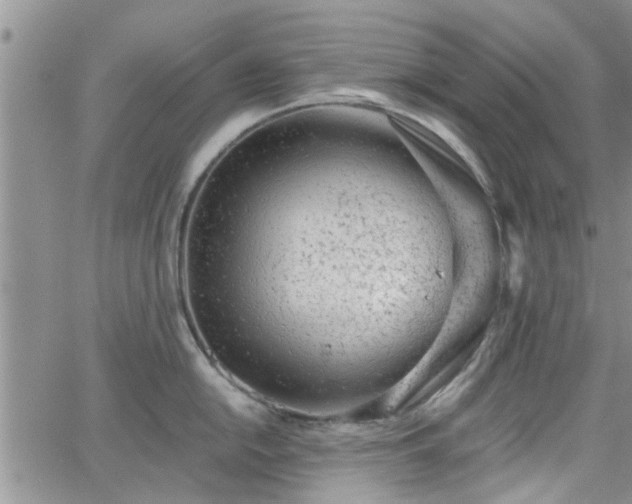 X0000063481054200601231342