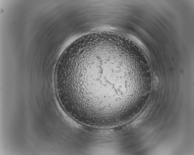 X0000063481055200601231342