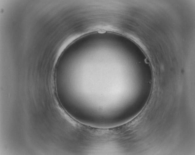 X0000063481056200601231342