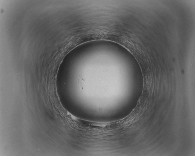 X0000063481057200601231341